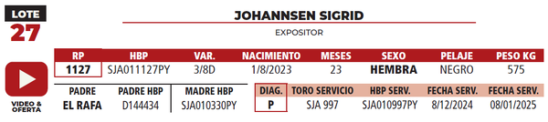 Lote LOTE 27