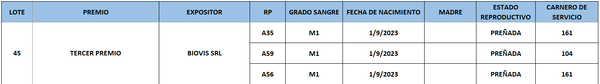 Lote LOTE 45