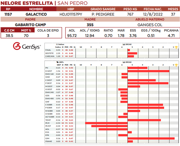Lote LOTE 20