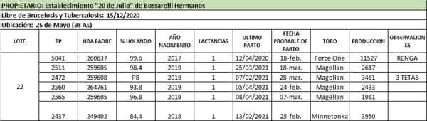 Lote Lote 22