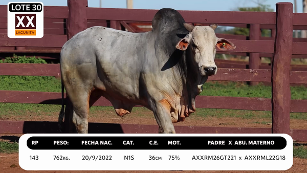 Lote LOTE 30