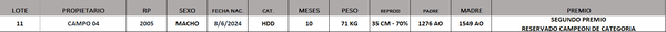 Lote LOTE 11