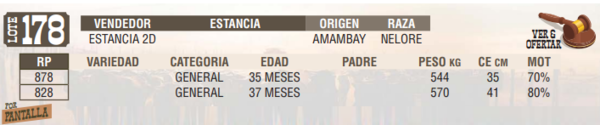 Lote LOTE 178