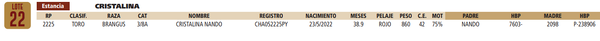 Lote LOTE 22