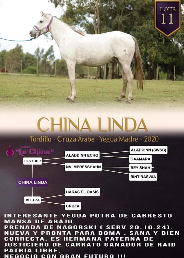 Lote CHINA LINDA