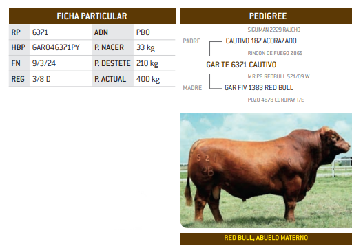 Lote LOTE 32