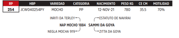 Lote LOTE 17