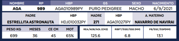 Lote LOTE 7