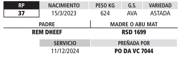 Lote LOTE 21