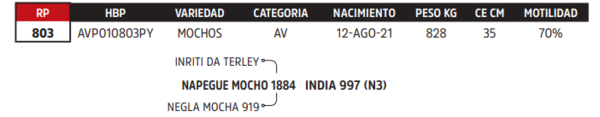 Lote LOTE 29