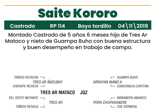 Lote LOTE 31