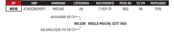 Lote LOTE 9