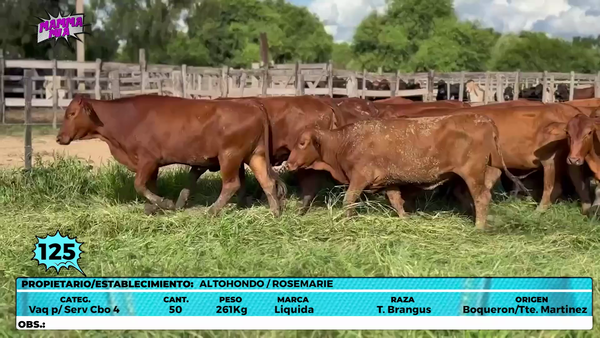 Lote LOTE 125