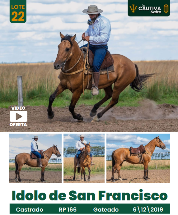 Lote LOTE 22