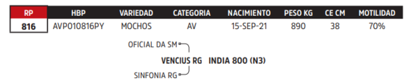 Lote LOTE 72