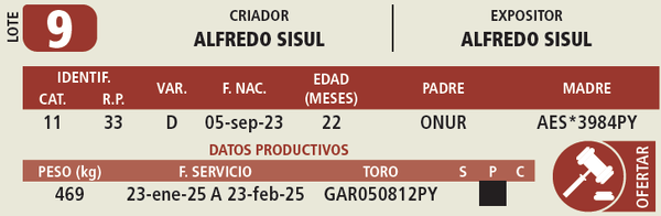 Lote LOTE 9