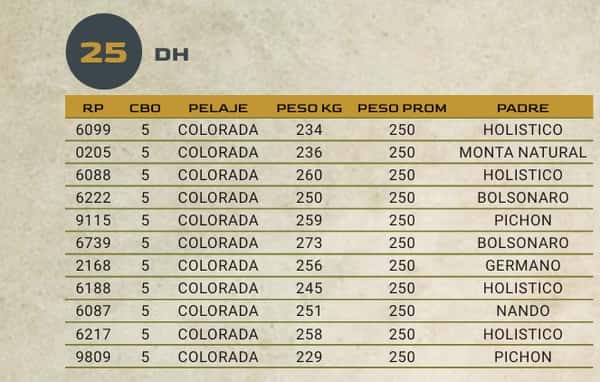 Lote LOTE 25