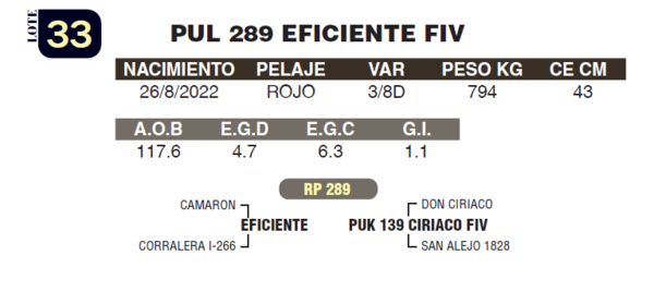 Lote LOTE 33