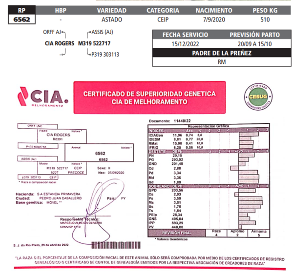 Lote LOTE 39