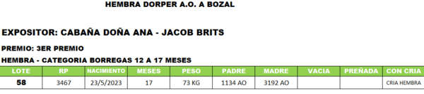 Lote LOTE 58