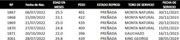 Lote LOTE 36