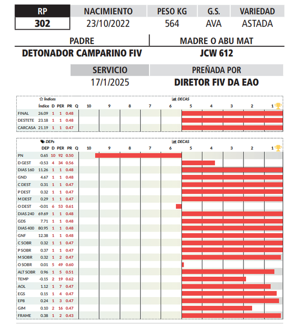 Lote LOTE 20