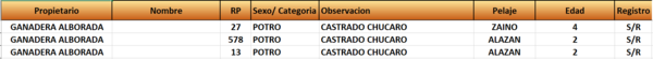 Lote LOTE 38