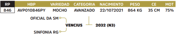 Lote LOTE 30