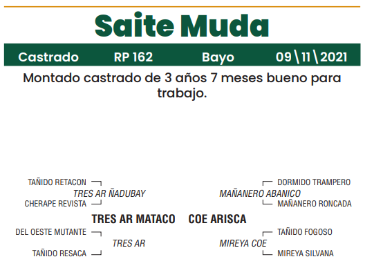 Lote LOTE 9