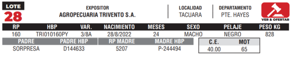 Lote LOTE 28- CAMPO