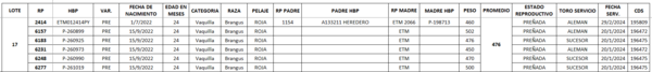 Lote LOTE 17