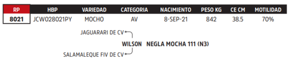 Lote LOTE 24