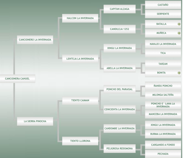 Lote Cancionera Cahuel