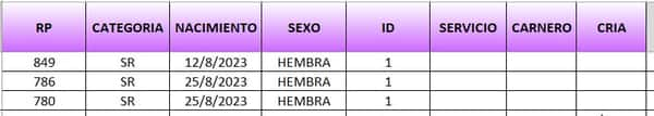 Lote LOTE 5