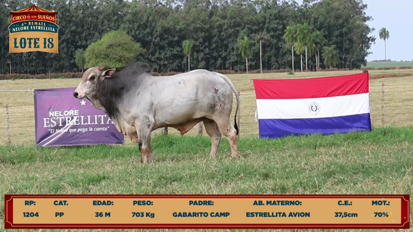 Lote LOTE 18