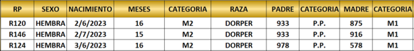 Lote LOTE 2