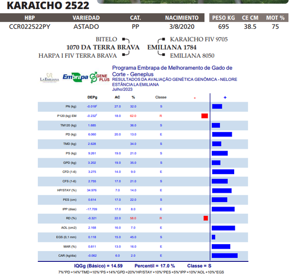 Lote LOTE 13