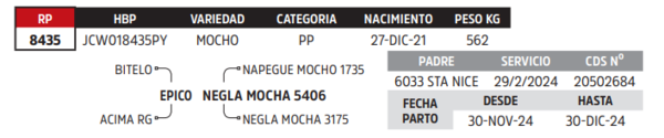 Lote LOTE 34