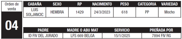 Lote LOTE 4