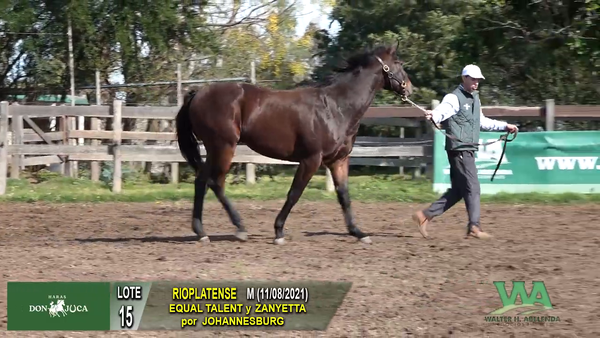 Lote RIOPLATENSE