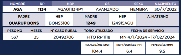 Lote LOTE 44