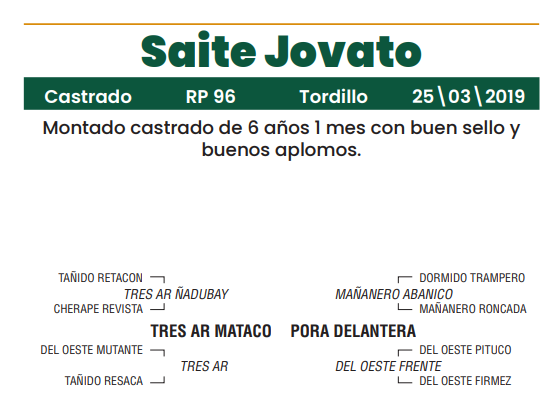 Lote LOTE 7
