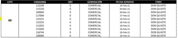 Lote Reproductores de Alborada - Lote 49