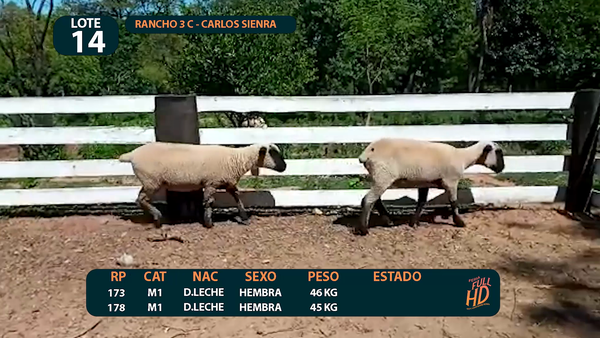Lote LOTE 14