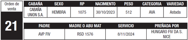 Lote LOTE 21