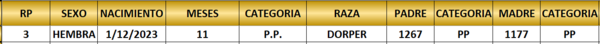 Lote LOTE 17