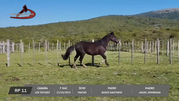 Lote DEL MIRADOR FEDERAL
