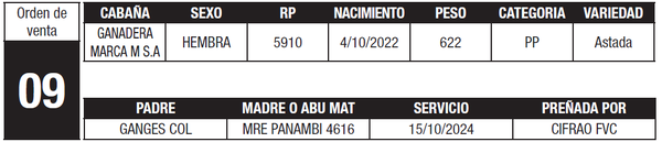 Lote LOTE 9