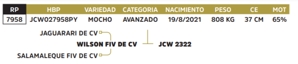 Lote LOTE 33