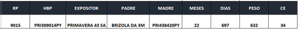 Lote LOTE 5